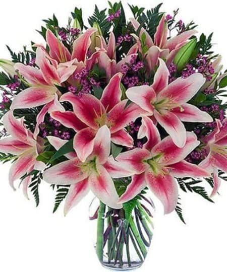 Beautiful, elegant lilies come arranged in a clear glass vase with greens and fillers to compliment the lilies