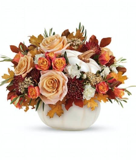  Elegant crème roses blend with the heartwarming hues of autumn in this charming bouquet, artfully arranged in a white lidded pumpkin bowl, a versatile fall decor favorite! This charming arrangement features crème roses, white miniature carnations, burgundy cushion spray chrysanthemums, yellow cottage yarrow, olive, and brown copper beech. Delivered in an Enchanted Harvest Pumpkin. Approximately 18" W x 13 1/2" H