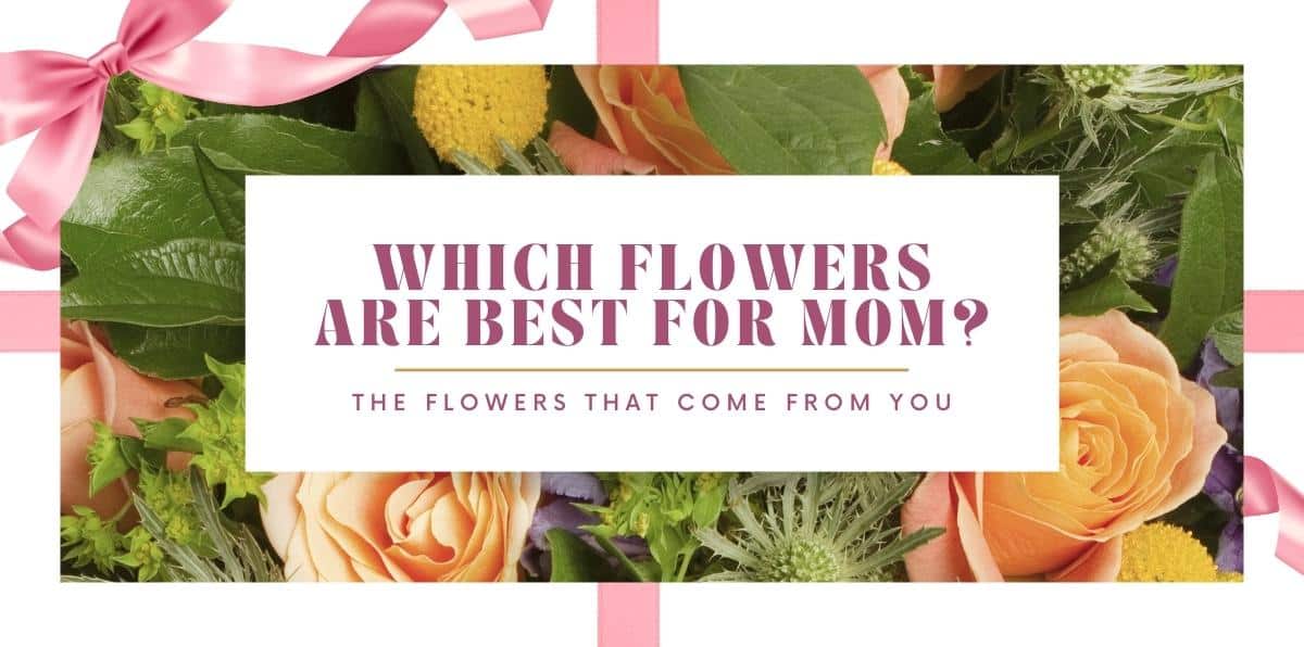 https://flowerkingdom.flowermanager.net/wp-content/uploads/sites/128/2022/02/Lifestyle-BestForMom-Blog.jpg