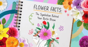Flower Facts. The symbolism behind birth flowers